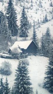 Зима с ее