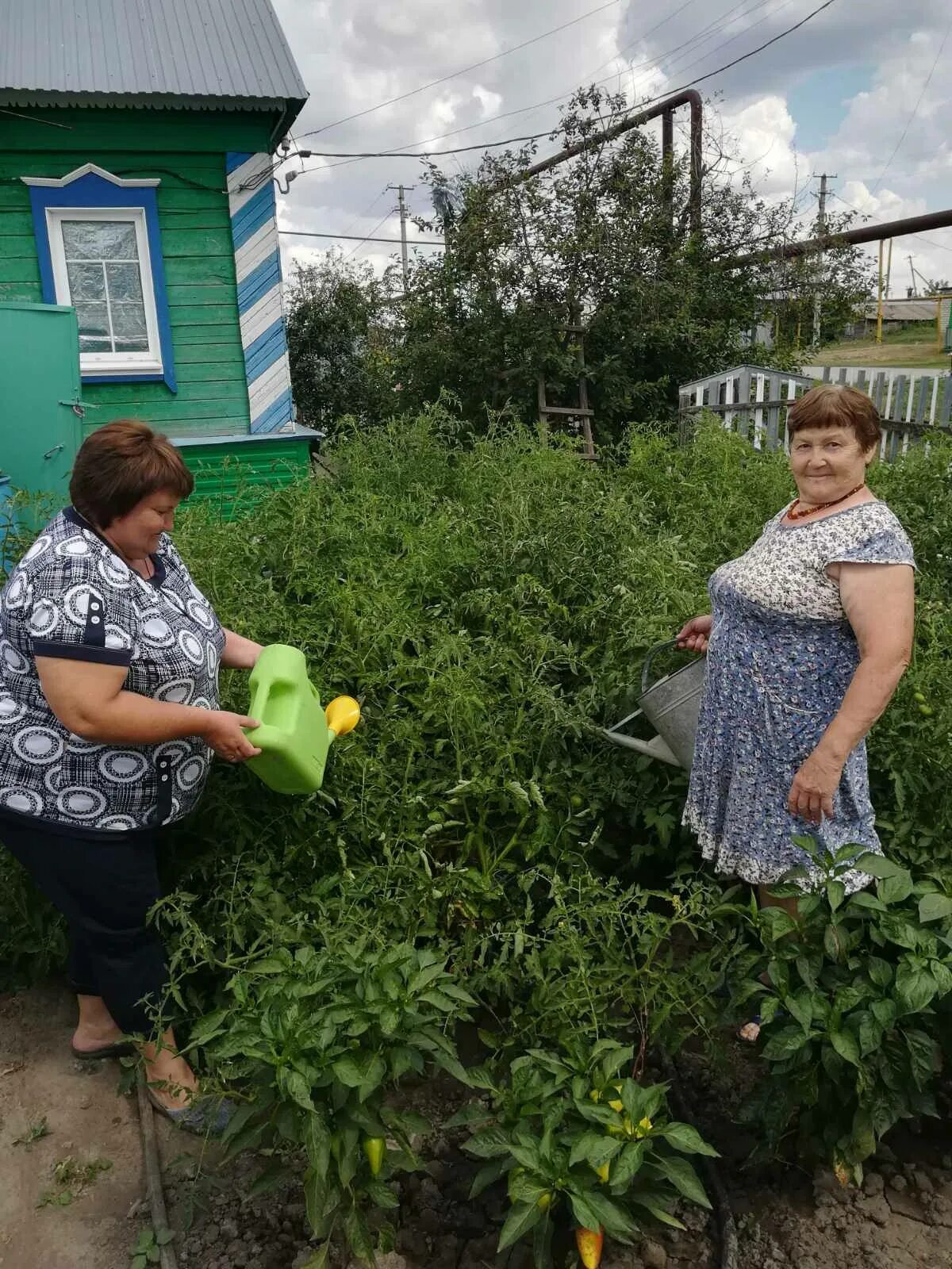 Погода в дергуновке