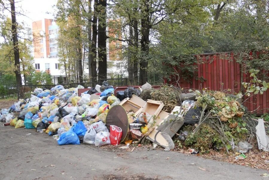 Помойка в Приморском районе. Мусорка в Приморском районе. В районе мусорке