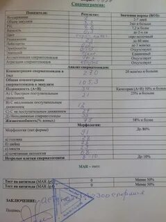 Тератозооспермия можно забеременеть