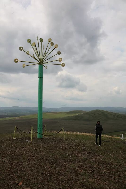 Башкортостан курай. Курай символ Башкортостана. Курай растение Башкирский. Символ Башкирии цветок курая.