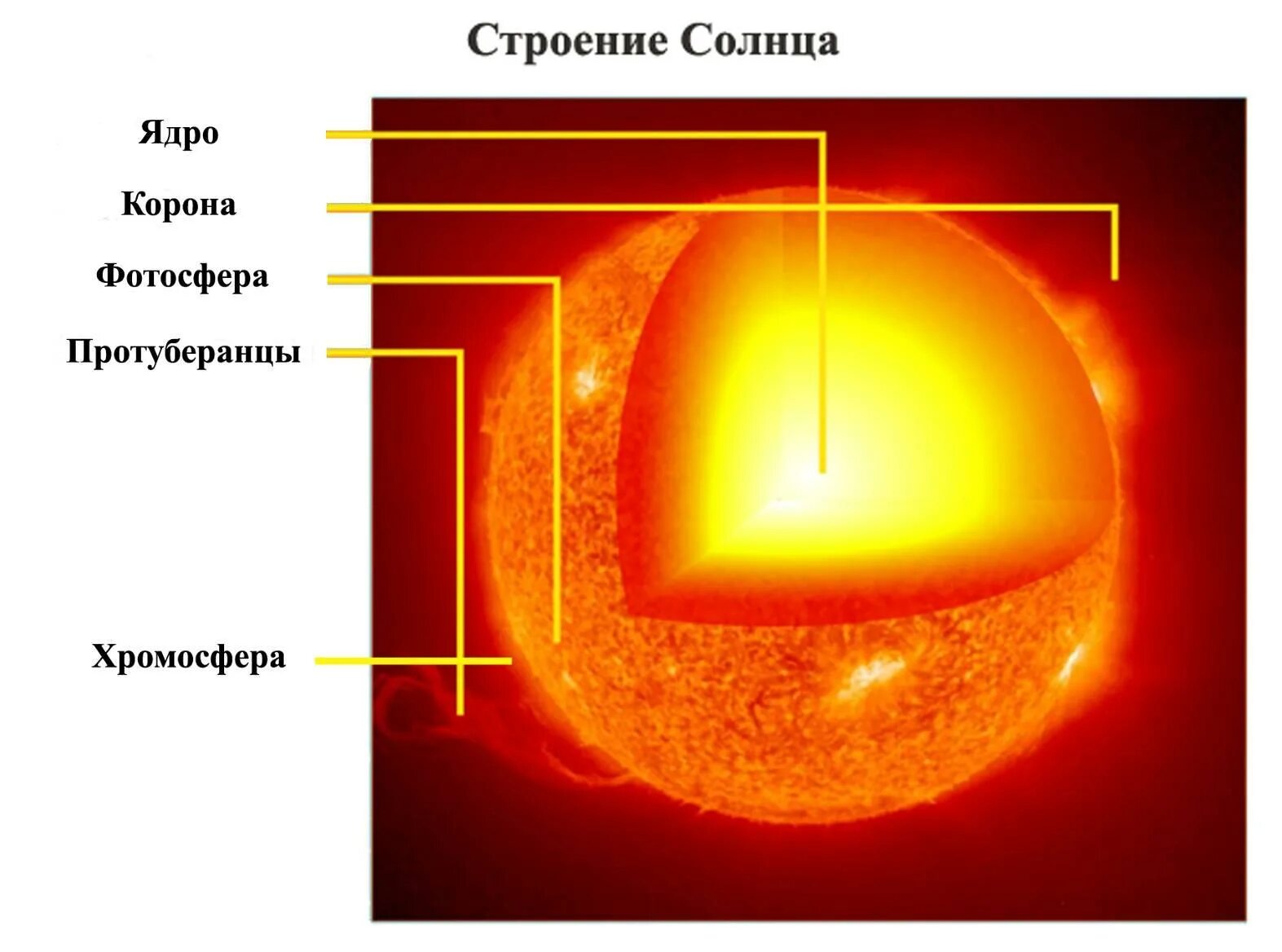Химический элемент солнца. Внутреннее строение солнца. строение ядра солнца. строение фотосферы солнца. строение солнца внутреннее и внешнее.