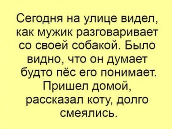 Рассказал коту долго смеялись. Сегодня на улице видел как мужик разговаривает со своей собакой. Пришел домой рассказал коту долго смеялись. Видел на улице как мужик разговаривал с собакой.