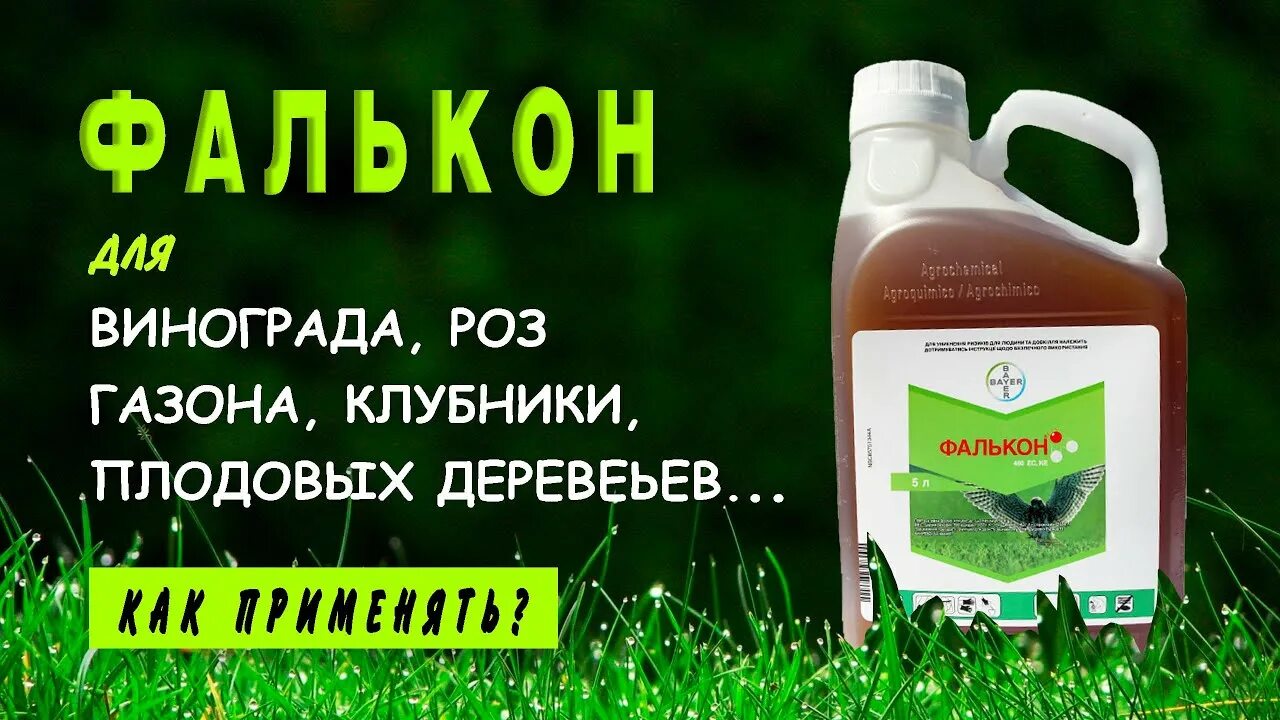 Применение фалькона для винограда