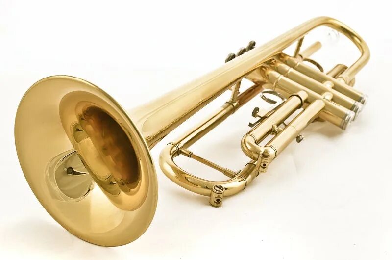 виды духовых труб. Roy benson ер-303 bb эуфониум. Roy benson tr-101 bb r труба. труба помповая духовой инструмент. труба медный духовой инструмент.