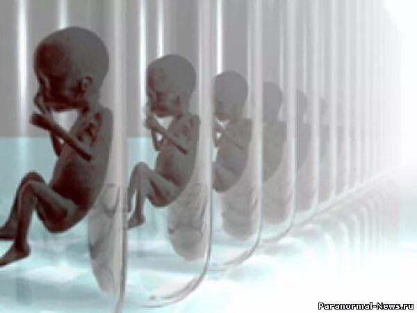 Днк после смерти. Клонирование человеческого эмбриона. Клонирование человека фото. Первый клонированный человек.
