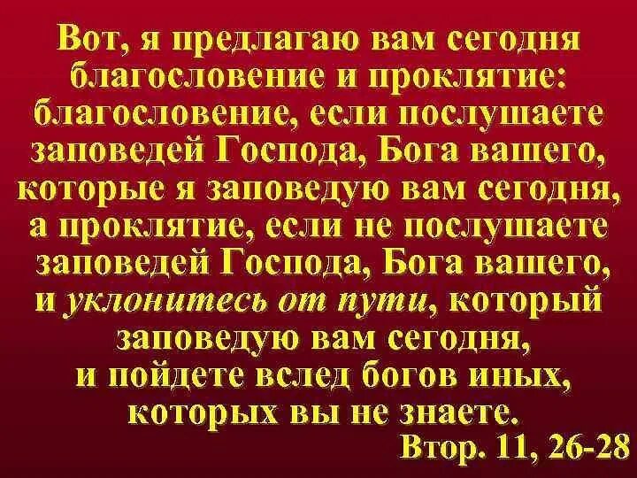 Вот я предлагаю вам сегодня благословение и проклятие. Благословение и проклятие. Благословение и проклятие предложил я. Благословения и проклятия в Библии. Жизнь вечная счастье или проклятие