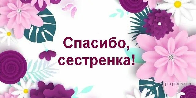 Благодарю сестра. Спасибо сестренка за поздравления. Спасибоща поздравления сестренка. Поблагодарить за поздравления сестру. Благодарность сестре за поздравление.