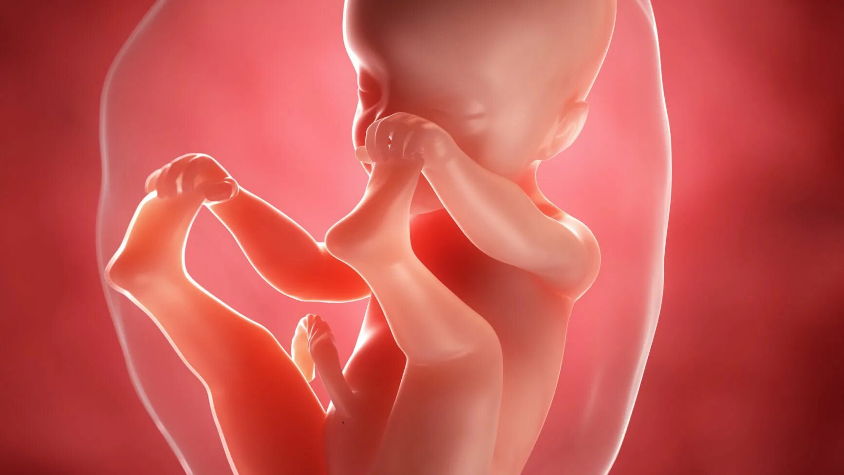 Малыш в утробе матери. 22 неделя развития