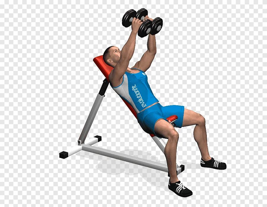 User press. Incline Dumbbell Press упражнение. Жим Гант на наклонной скамье. Сведение гантелей на наклонной скамье. Развод гантелей на наклонной скамье.