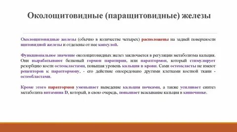 Паращитовидные железы являются железами внутренней секреции