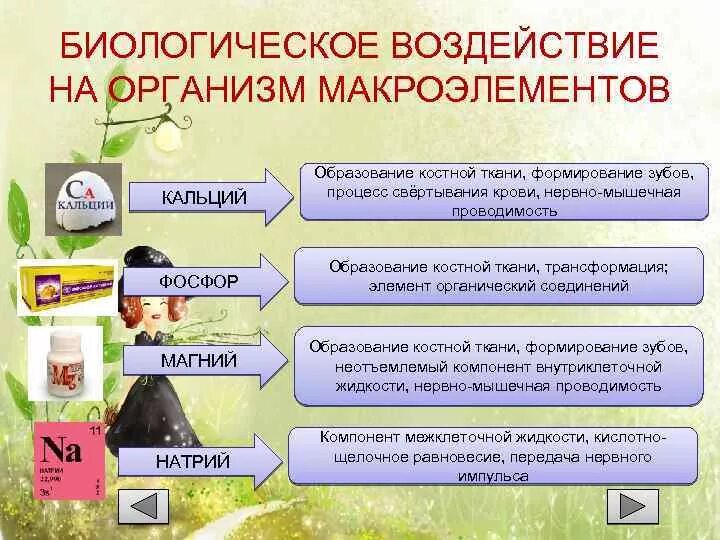 Микроэлементы и их роль в растении. Макро и микроэлементы и их роль. роль микроэлементов в организме. роль микроэлементов в жизнедеятельности организма. макро и микроэлементы в организме человека.