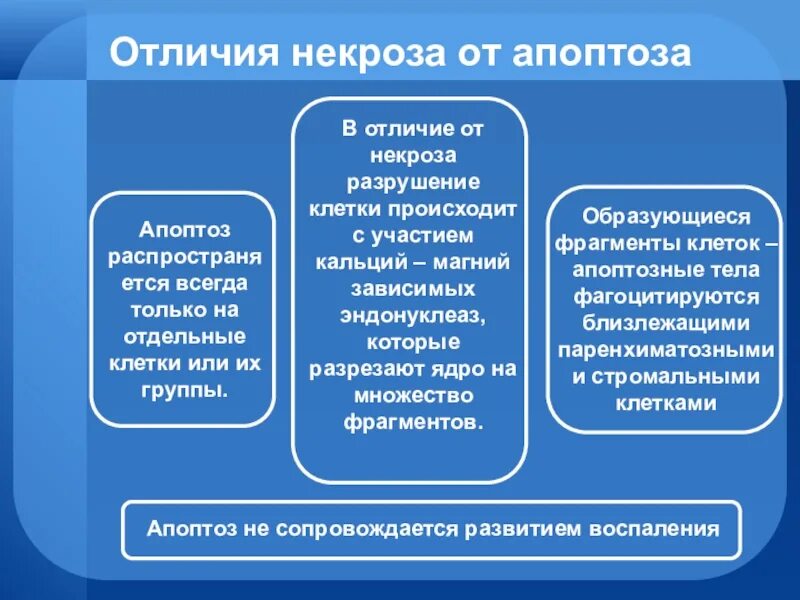 Некроз апоптоз различия патанатомия. Отличительные признаки некроза и апоптоза патанатомия таблица. Сравнительная характеристика некроза и апоптоза. Сравнительная характеристика некроза и апоптоза. Апоптоз и некроз отличия.