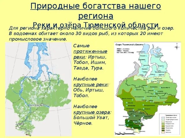 Сколько воды тюмень. Водоёмы Тюменской области. Реки и озера Тюменской области. Карта рек Тюменской области. Крупные реки Тюменской области на карте.