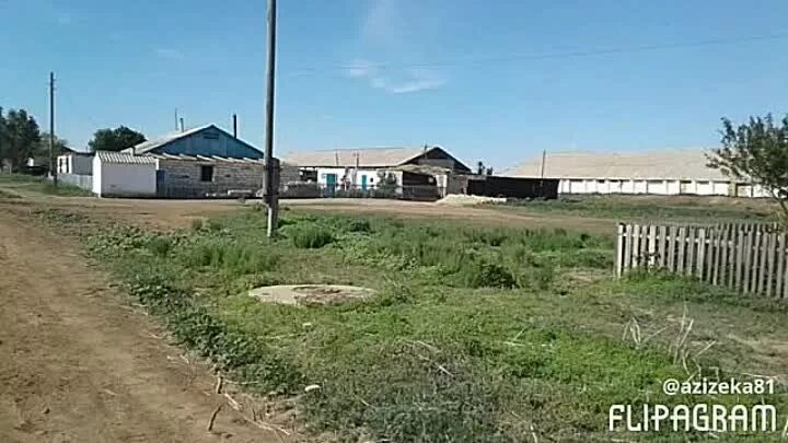 авангард алексеевский район самарская область. глава алексеевского района самарской области. бийский зерносовхоз. вид школы в селе прималкинской. зерносовхоз гигант.