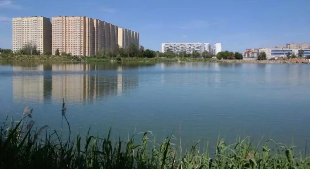 Самаровское озеро московская область. Жк стрела королев. Самаровский пруд в королеве. Голубое озеро королев. Самаровское озеро королев.