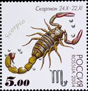 Скорпион месяц