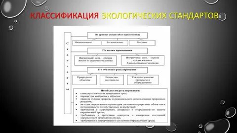 Система экологических стандартов