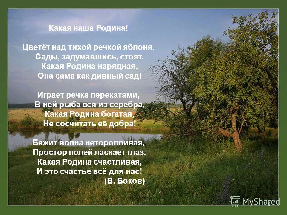 Аудио стихотворения родина. Четверостишье про родину. Цветеь на Тихрй речкеяблоня.