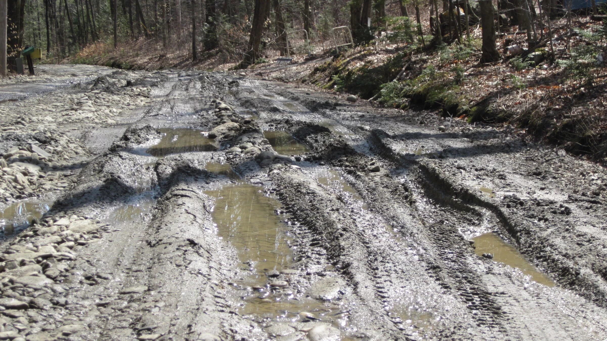 Mud road. грязевая дорога в лесу. грунтовая дорога. средневековые грязные дороги. земля грязь дорога.