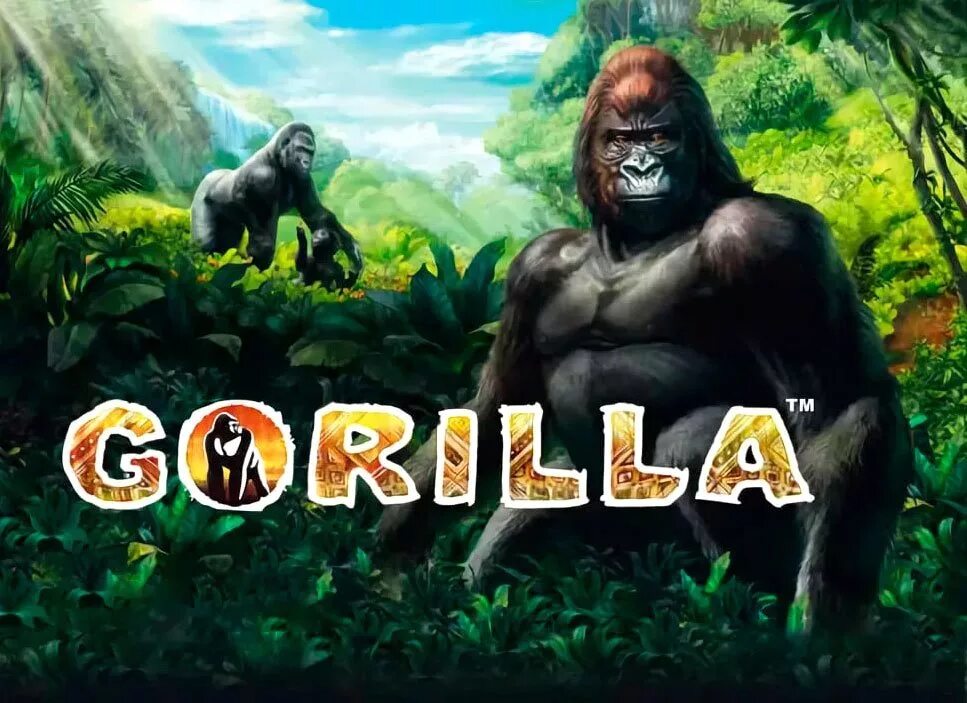 Горилла casino gorilla vad1. Казино горилла. Игра горилла. Слот с гориллой. Вулкан игровые автоматы горилла.