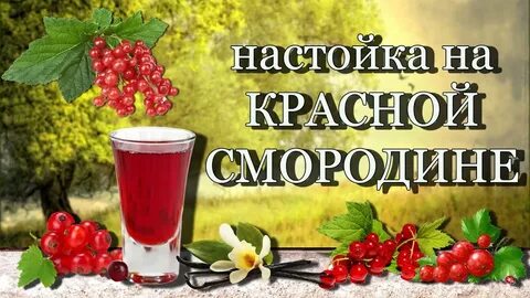 Настойка на красной смородине