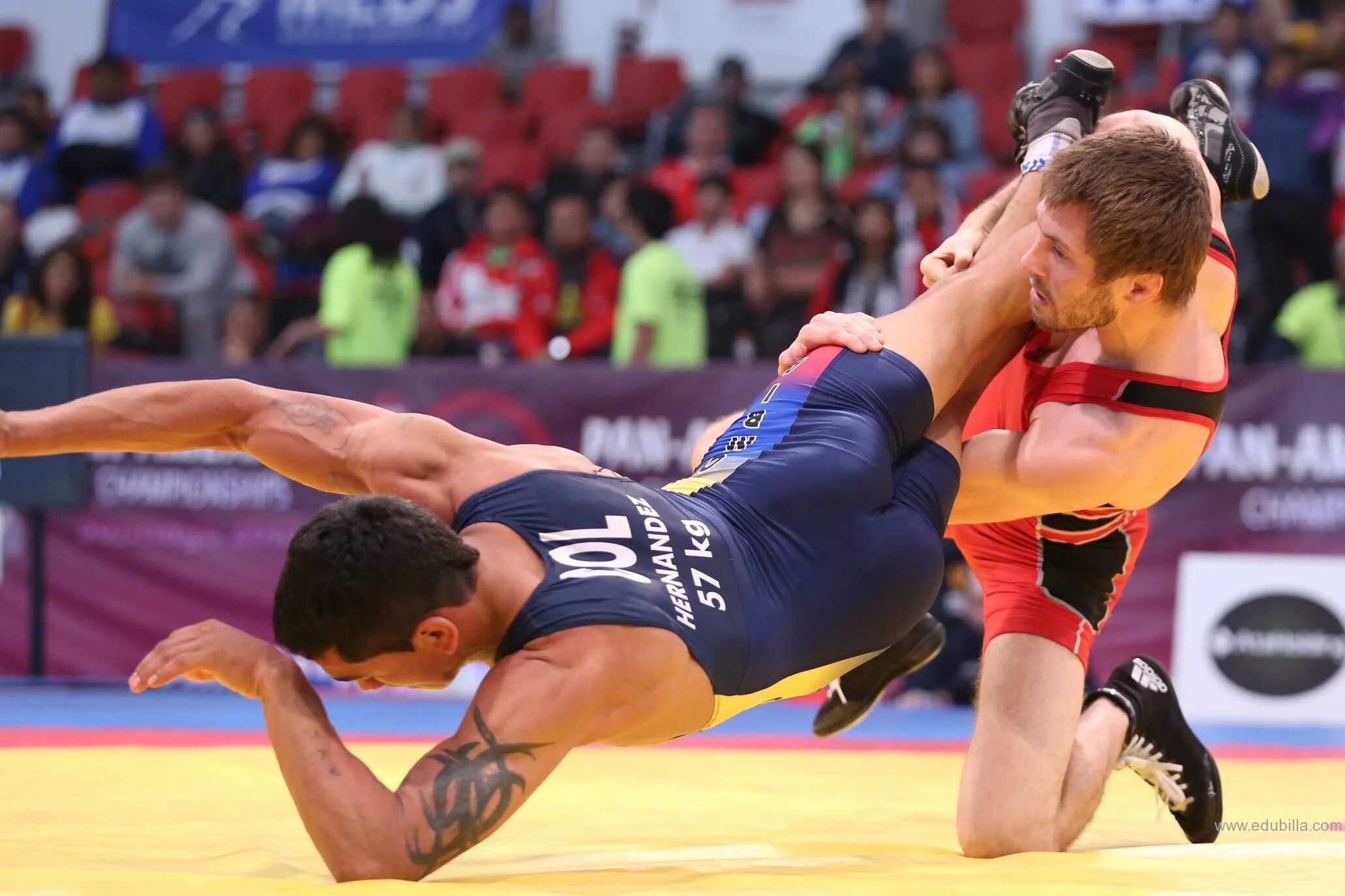Wrestling championships