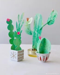 Бумага cactus