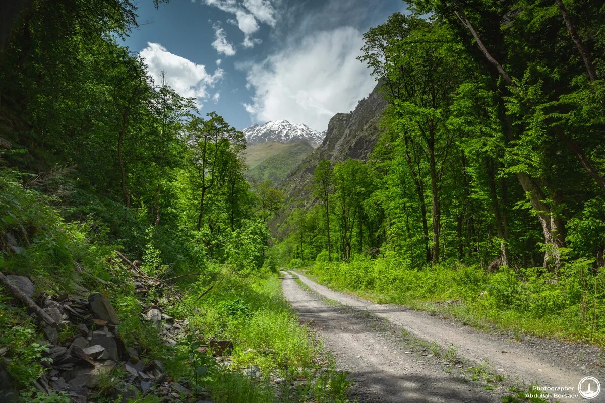 чеченская республика горы чеченской республики. грозный лес. Ktc xtxyb. грозный лес. самурский лес (магарамкентский район).