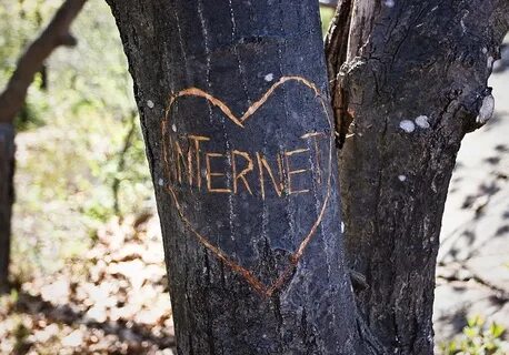 Картинки надпись деревья