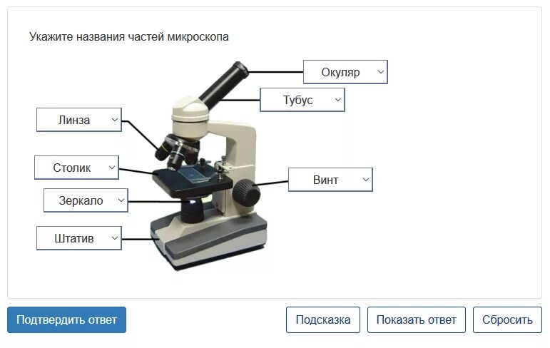 Детали цифрового микроскопа 5 класс биология. Цифровой микроскоп строение 5 класс. Цифровой микроскоп ВПР 5 строение. Цифровой микроскоп qx7 строение. Строение цифрового микроскопа 5 класс биология.