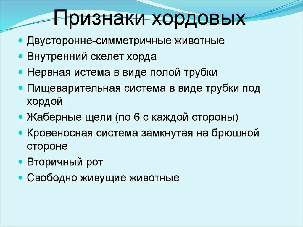 Для всех представителей типа хордовые характерно