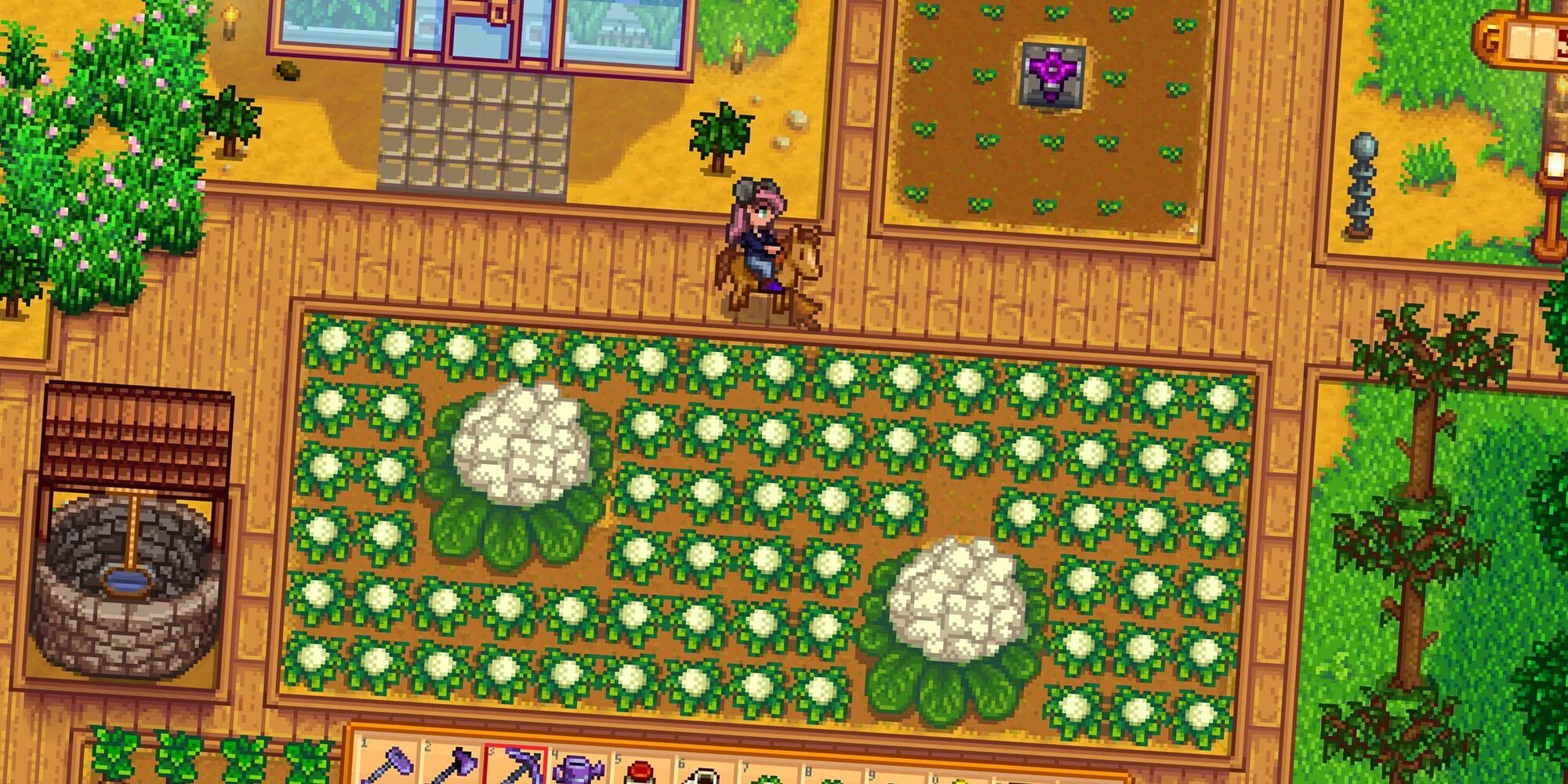 Stardew valley цветная капуста. Stardew valley 1.5 остров. stardew valley гигантские растения. stardew valley деревья. путешествие короля прерий stardew valley.
