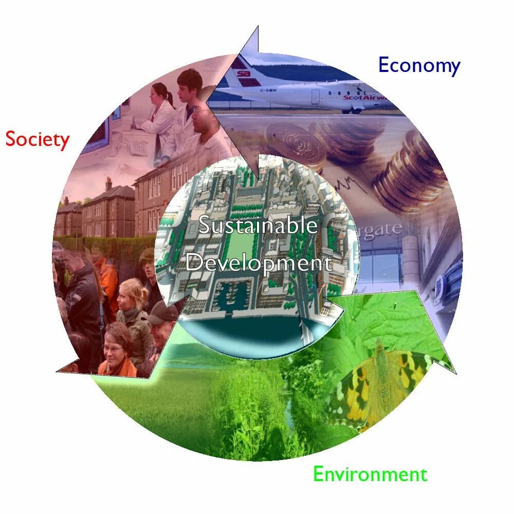 Economic society