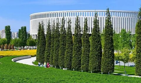 Краснодар 2025 год