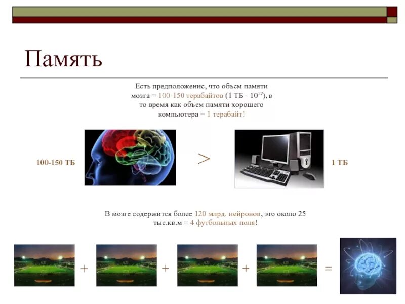 Сколько в мозгах памяти. Объём памяти человеческого мозга. Объём памяти человеческого мозга в терабайтах. Сколько памяти у человека в ГБ. Сколько памяти у человека в гигабайтах.
