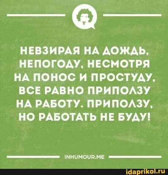 Несмотря на понос и простуду. Невзирая на дождь непогоду несмотря на понос. Несмотря на понос и простуду все равно приползу на работу. Приползу но работать не буду.