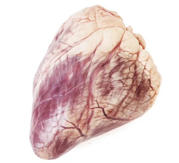 мясо сердце говяжье