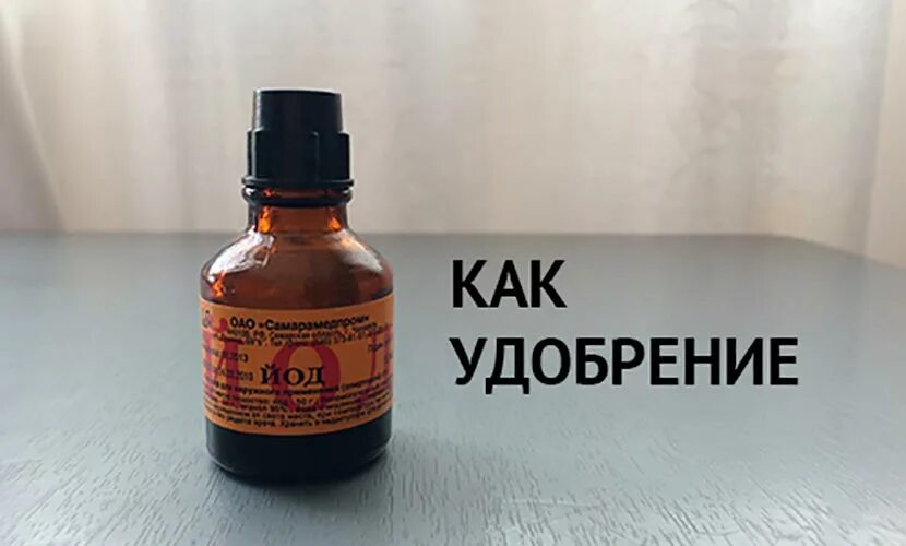 Обработка огурцов сывороткой и йодом в открытом. Йод для рассады. подкормка огурцов йодом. йод как подкормка.