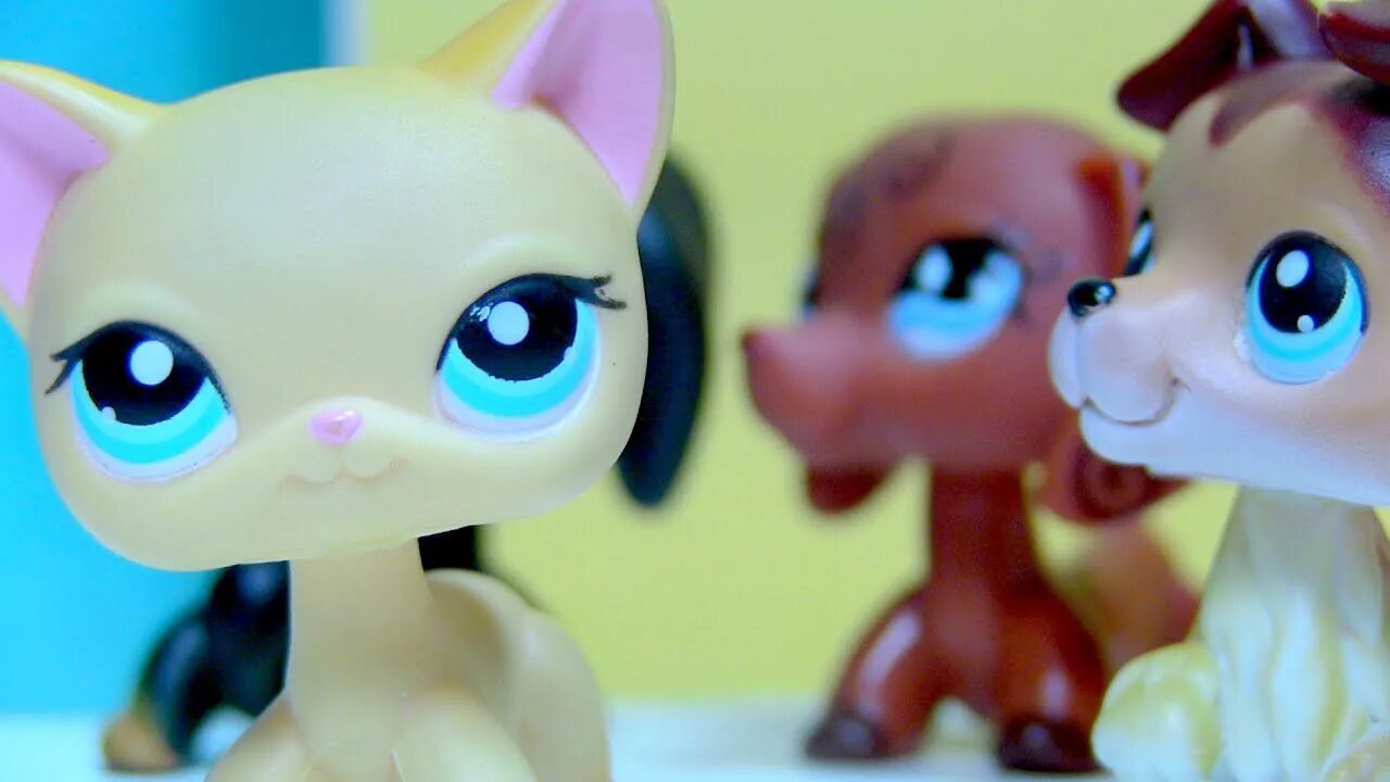 Littlest Pet shop 1995. Littlest Pet shop 720. Littlest Pet shop 107. Littlest Pet shop 710. Littlest pet андроид