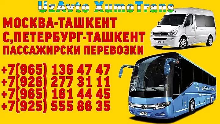 Екатеринбург Ташкент автобус. Ташкент Оренбург автобус. Екатеринбург Ташкент. Екатеринбург Ташкент автобус есть.