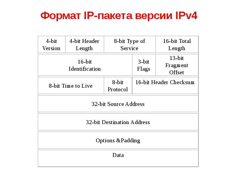 Ipv4 packet. Поля пакета ipv4. Формат IP пакета. Формат заголовка IP-пакета. Структура IP пакета.