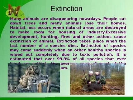 Disappearing animals