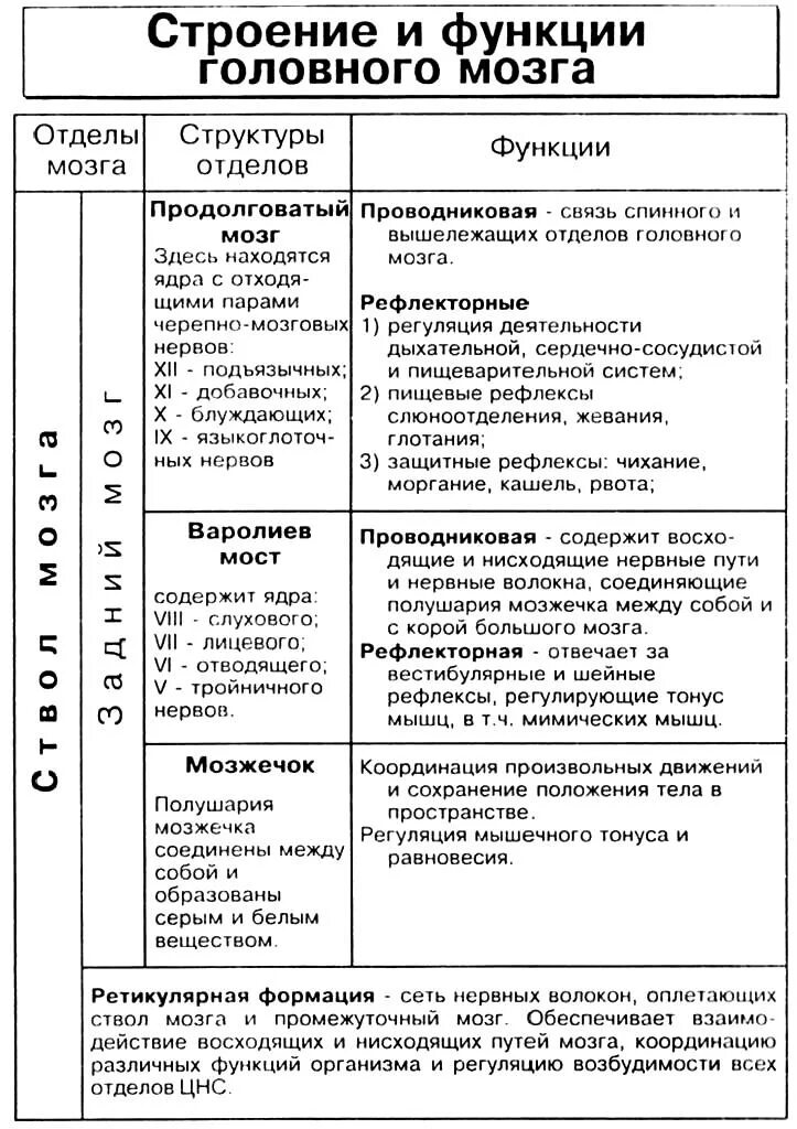 Отделы головного мозга и их функции. Строение и функции головного мозга таблица. Функции отделов головного мозга таблица. Строение и функции отделов головного мозга таблица. Строение и функции спинного и головного мозга таблица.