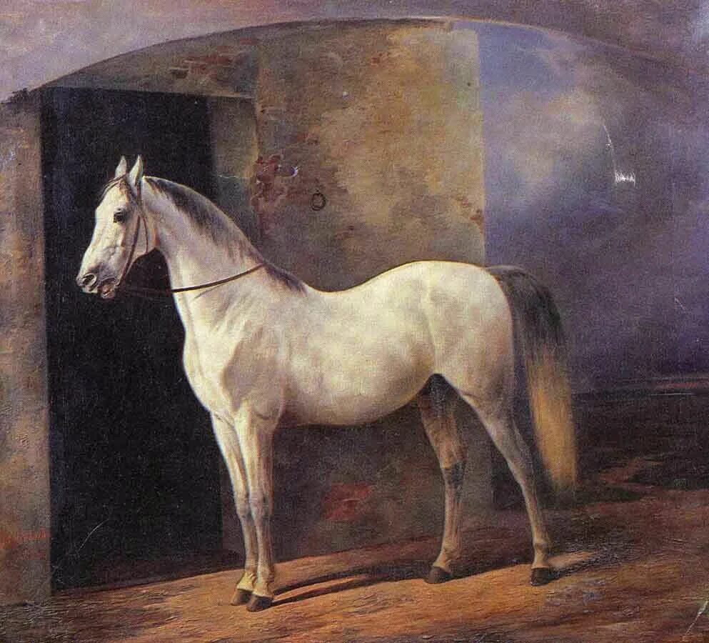 Конюшня третьяковка. Конюшня третьяковка. Третьяковская галерея навигация. 1878. Живописные полотна всадница на коне.