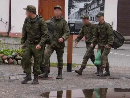 Набор контрактников последние новости