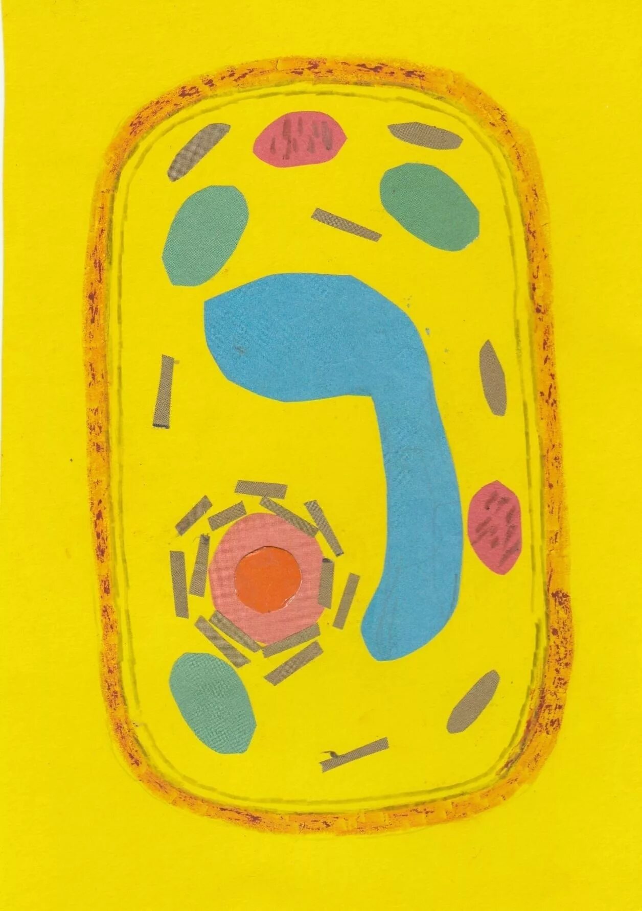 Аппликация клетки растения. Модель аппликация клетка растительная клетка. Аппликация животной клетки. Строение растительной клетки макет. Модель аппликация растительной клетки 5 класс биология.