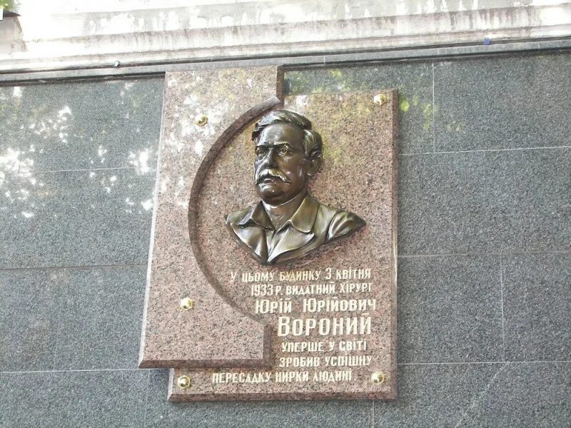 Ю ю вороной