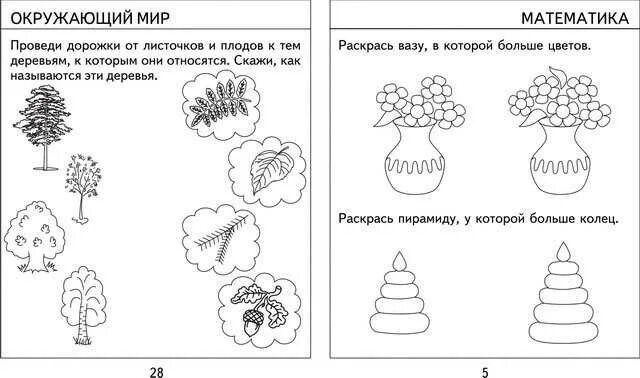 Познание подготовительная группа конспекты занятий. Задания для детей подготовительной группы по развитию речи. Задания по математическому развитию в подготовительной группе. Задания по ФЭМП для детей 5 лет. Задания по ФЭМП для детей 3 лет.