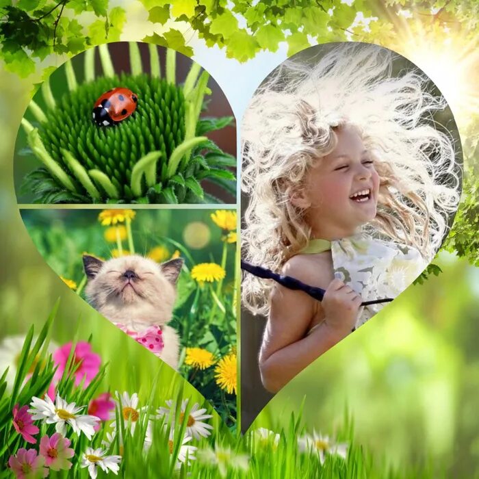 Прелесть лета. Девушка в венке из полевых цветов. Розы над водой. Девочка летом. Прелесть лета.